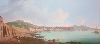 Bay of Naples by Pietro Fabris